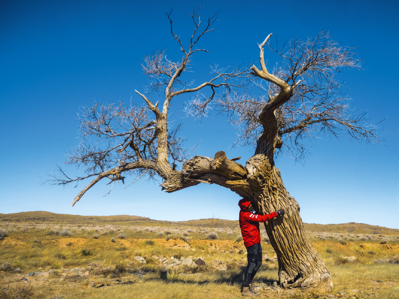 Gobi Desert