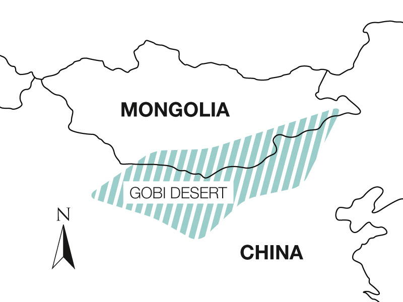Gobi Desert